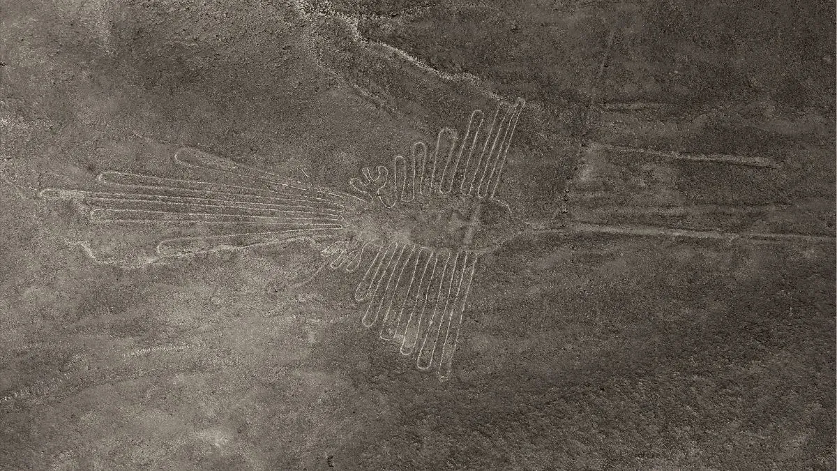 Tragedia aérea en Perú: al menos 13 muertos al estrellarse una avioneta turística sobre las Líneas de Nazca